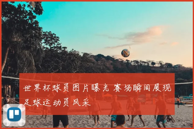 世界杯球员图片曝光 赛场瞬间展现足球运动员风采