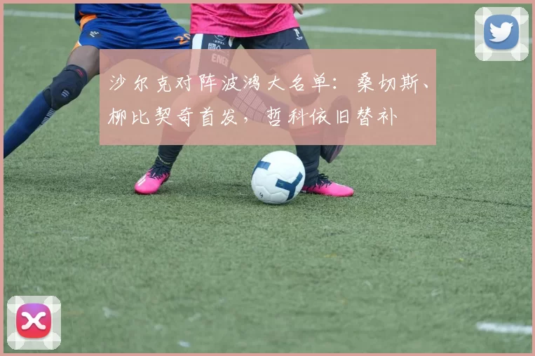 沙尔克对阵波鸿大名单：桑切斯、柳比契奇首发，哲科依旧替补