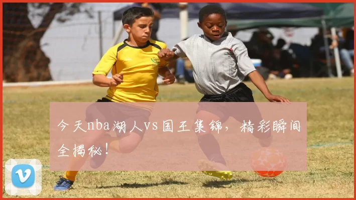 今天nba湖人vs国王集锦，精彩瞬间全揭秘！